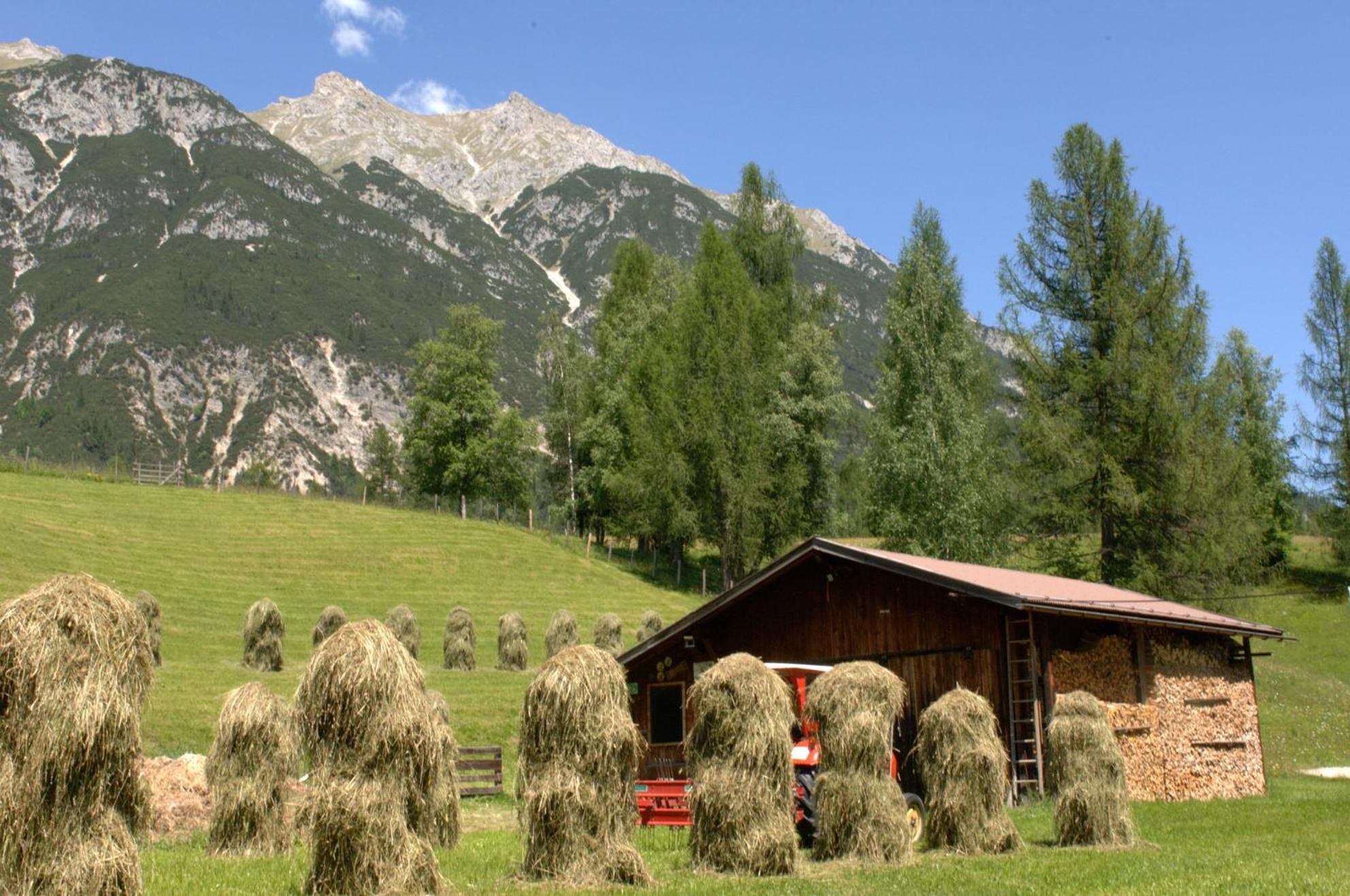 Haus Elisengrund Am Geigenbuehel - Chalet Prive Seefeld in Tirol Bagian luar foto
