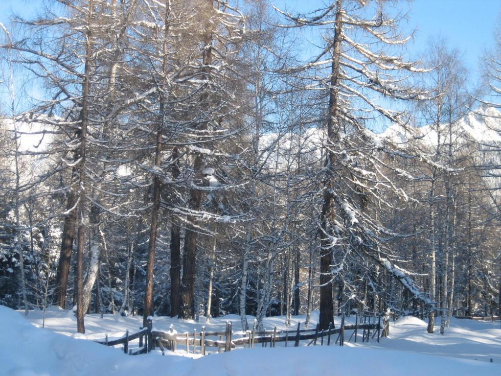 Haus Elisengrund Am Geigenbuehel - Chalet Prive Seefeld in Tirol Bagian luar foto